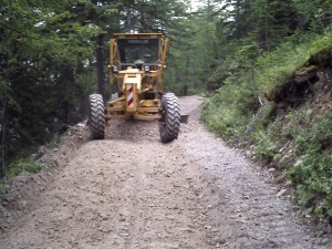 Piste Forestière St André les Alpes